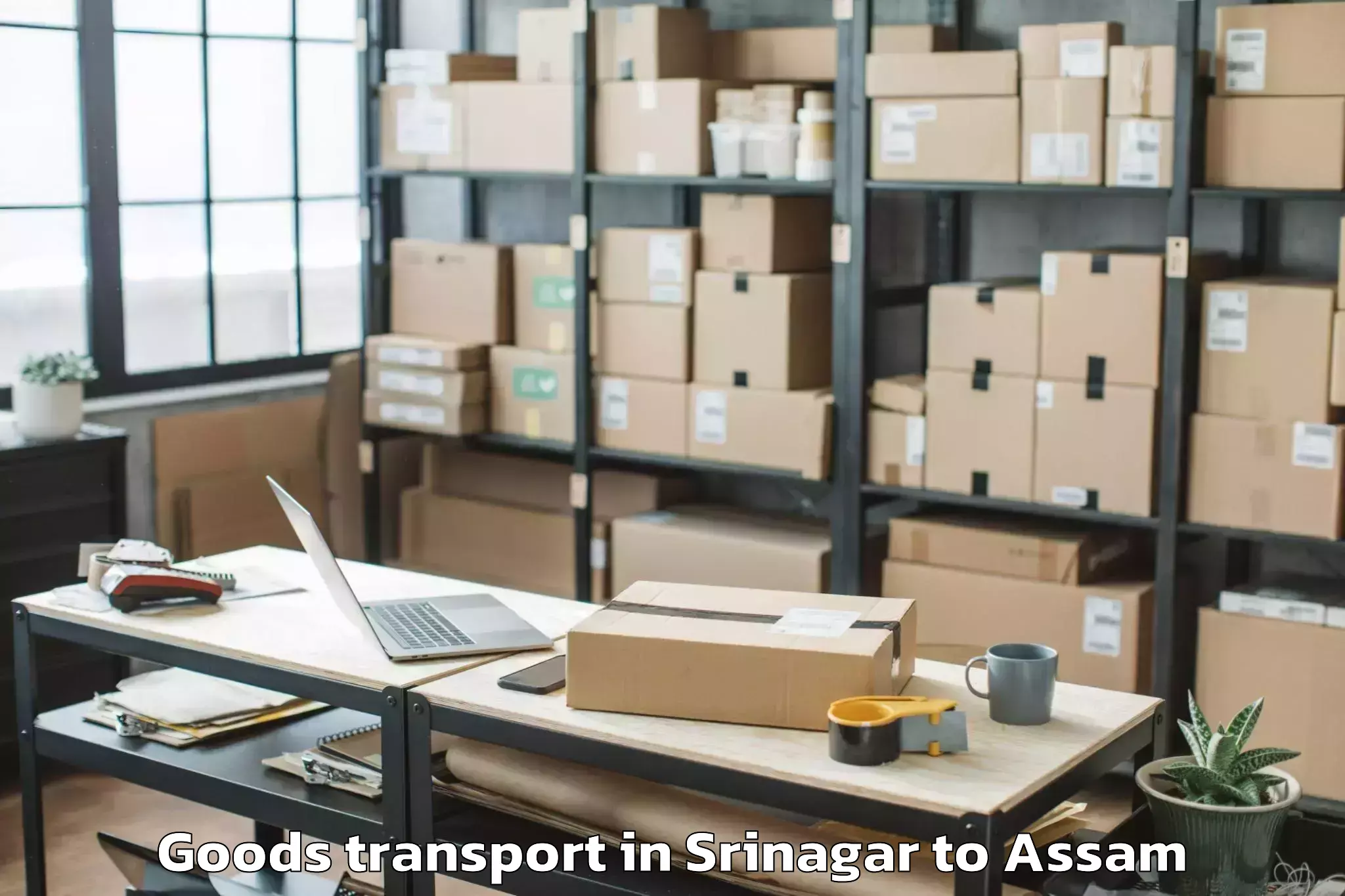 Reliable Srinagar to Lumding Goods Transport